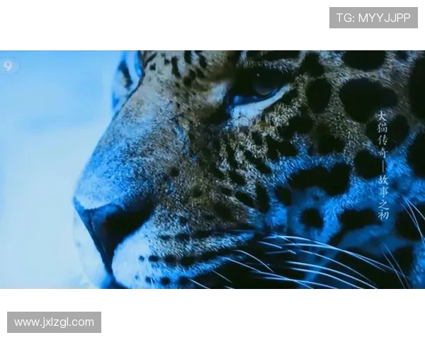 CCTV5世界杯重播赛事全程精彩瞬间全景回顾与深度解析特别呈现